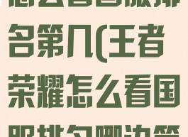 《王者荣耀》怎么看国服排名第几(王者荣耀怎么看国服排名哪边第一)