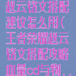 《王者荣耀》赵云铭文搭配建议怎么用(王者荣耀赵云铭文搭配攻略血量cd与物...)