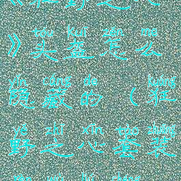 《狂野之心》头盔怎么隐藏的(狂野之心套装任务流程)