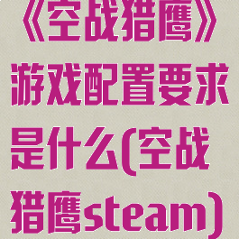《空战猎鹰》游戏配置要求是什么(空战猎鹰steam)