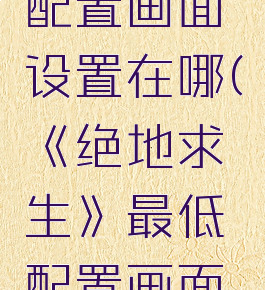 《绝地求生》最低配置画面设置在哪(《绝地求生》最低配置画面设置在哪里)