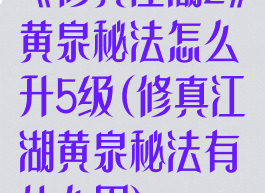 《修真江湖2》黄泉秘法怎么升5级(修真江湖黄泉秘法有什么用)