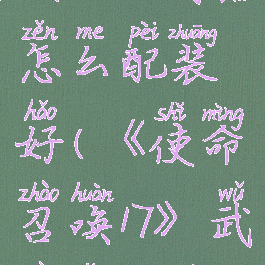 《使命召唤17》武器怎么配装好(《使命召唤17》武器怎么配装好一点)