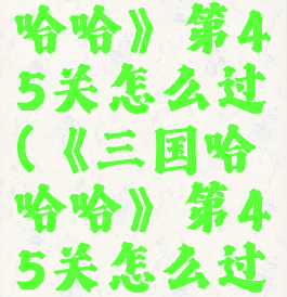 《三国哈哈哈》第45关怎么过(《三国哈哈哈》第45关怎么过视频)
