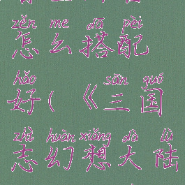 《三国志幻想大陆》曹丕阵容怎么搭配好(《三国志幻想大陆》曹丕阵容怎么搭配好用)