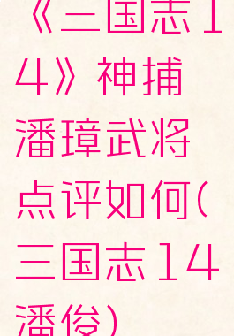 《三国志14》神捕潘璋武将点评如何(三国志14潘俊)