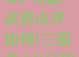 《三国志14》马超武将点评如何(三国志14马超)