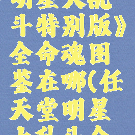 《任天堂明星大乱斗特别版》全命魂图鉴在哪(任天堂明星大乱斗全命魂收集)