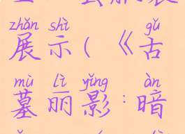 《古墓丽影:暗影》全30套服装展示(《古墓丽影:暗影》全30套服装展示图)