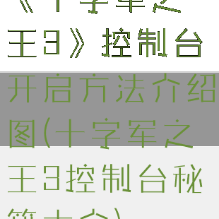 《十字军之王3》控制台开启方法介绍图(十字军之王3控制台秘籍大全)
