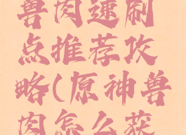 《原神》兽肉速刷点推荐攻略(原神兽肉怎么获取最快)