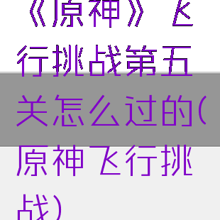 《原神》飞行挑战第五关怎么过的(原神飞行挑战)