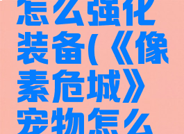 《像素危城》宠物怎么强化装备(《像素危城》宠物怎么强化装备的)