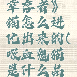 《吸血鬼幸存者》猫怎么进化出来的(吸血鬼猫是什么品种)