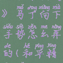 《和平精英》马丁向下手势怎么弄的(和平精英马丁ckd)