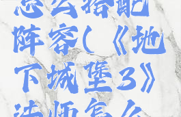 《地下城堡3》法师怎么搭配阵容(《地下城堡3》法师怎么搭配阵容最好)