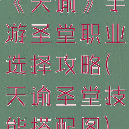 《天谕》手游圣堂职业选择攻略(天谕圣堂技能搭配图)