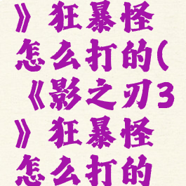 《影之刃3》狂暴怪怎么打的(《影之刃3》狂暴怪怎么打的视频)