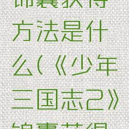 《少年三国志2》锦囊获得方法是什么(《少年三国志2》锦囊获得方法是什么)