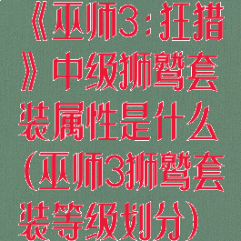 《巫师3:狂猎》中级狮鹫套装属性是什么(巫师3狮鹫套装等级划分)