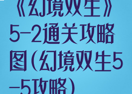 《幻境双生》5-2通关攻略图(幻境双生5-5攻略)