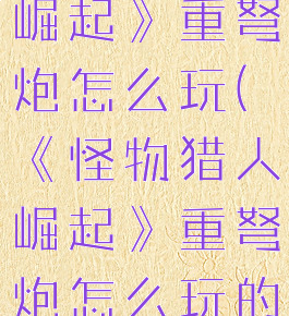 《怪物猎人崛起》重弩炮怎么玩(《怪物猎人崛起》重弩炮怎么玩的)