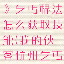 《我的侠客》乞丐棍法怎么获取技能(我的侠客杭州乞丐)