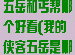 《我的侠客》五岳和丐帮哪个好看(我的侠客五岳是哪五岳)