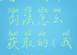 《我的侠客》尖冲剑法怎么获取的(我的侠客剑流攻略)