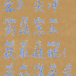 《我的侠客》尖冲剑法怎么获取技能(我的侠客巨剑)