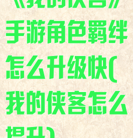 《我的侠客》手游角色羁绊怎么升级快(我的侠客怎么提升)