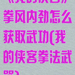 《我的侠客》拳风内劲怎么获取武功(我的侠客拳法武器)