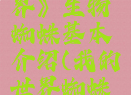 《我的世界》生物蜘蛛基本介绍(我的世界蜘蛛长啥样)