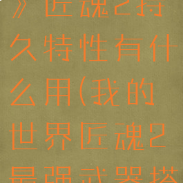 《我的世界》匠魂2持久特性有什么用(我的世界匠魂2最强武器搭配)