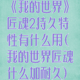 《我的世界》匠魂2持久特性有什么用(我的世界匠魂什么加耐久)