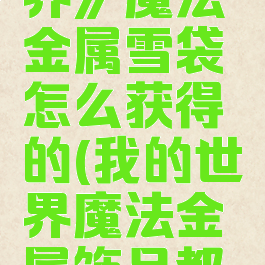 《我的世界》魔法金属雪袋怎么获得的(我的世界魔法金属饰品都有啥)