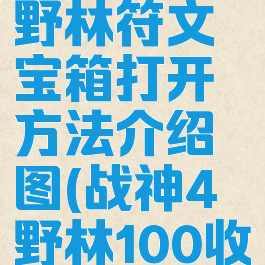 《战神4》野林符文宝箱打开方法介绍图(战神4野林100收集)