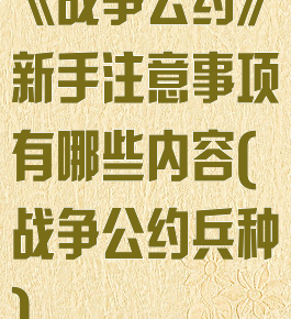 《战争公约》新手注意事项有哪些内容(战争公约兵种)