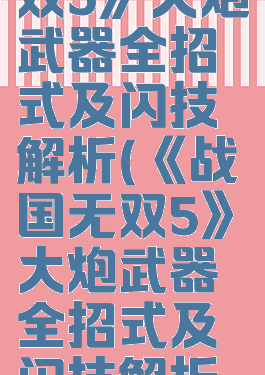 《战国无双5》大炮武器全招式及闪技解析(《战国无双5》大炮武器全招式及闪技解析视频)