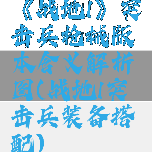 《战地1》突击兵枪械版本含义解析图(战地1突击兵装备搭配)