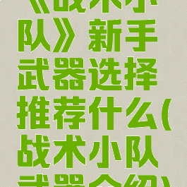 《战术小队》新手武器选择推荐什么(战术小队武器介绍)