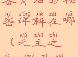 《无主之地3》红字装备背后的秘密详解在哪(无主之地3红字武器是什么意思)