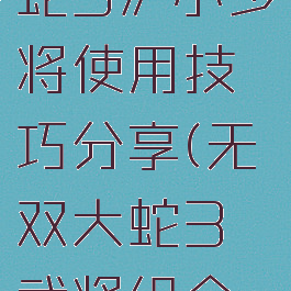《无双大蛇3》小少将使用技巧分享(无双大蛇3武将组合一览)