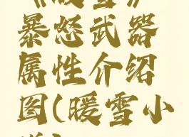 《暖雪》暴怒武器属性介绍图(暖雪小说)