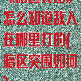 《暗区突围》怎么知道敌人在哪里打的(暗区突围如何)