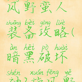 《暗黑破坏神2》旋风野蛮人装备攻略(暗黑破坏神2旋风野蛮人加点和技能)