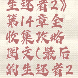 《最后的生还者2》第14章全收集攻略图文(最后的生还者2bug)