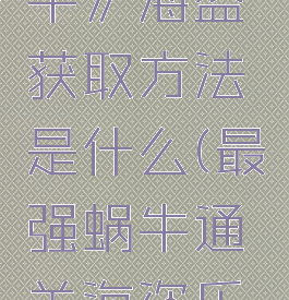 《最强蜗牛》海盗获取方法是什么(最强蜗牛通关海盗乐园)