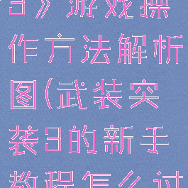 《武装突袭3》游戏操作方法解析图(武装突袭3的新手教程怎么过)