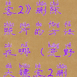 《荒野大镖客2》删除照片的方法在哪(荒野大镖客2删除照片)